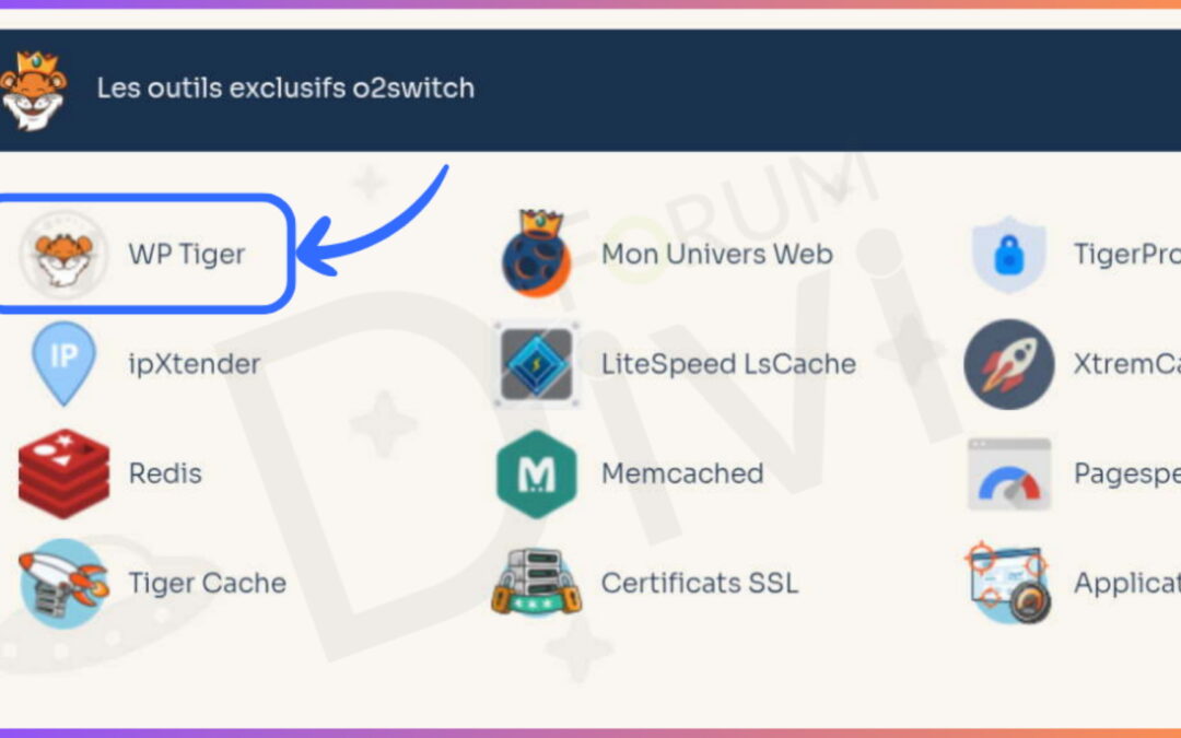 Clonez votre site WordPress avec cPanel sur O2Switch